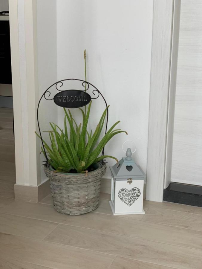 Apartment Salov Trogir Rum bild